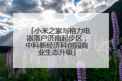 小米之家与格力电器落户济南起步区，中科新经济科创园商业生态升级