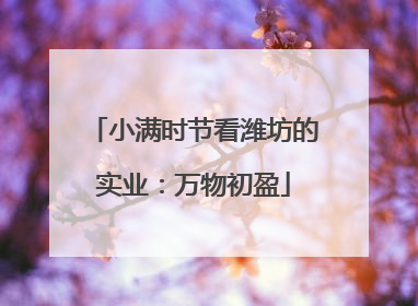 小满时节看潍坊的实业：万物初盈