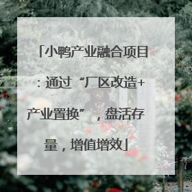 小鸭产业融合项目：通过“厂区改造+产业置换”，盘活存量，增值增效