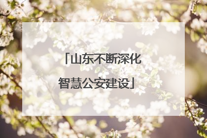 山东不断深化智慧公安建设