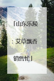 山东乐陵：艾草飘香销售忙