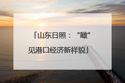 山东日照：“瞰”见港口经济新样貌