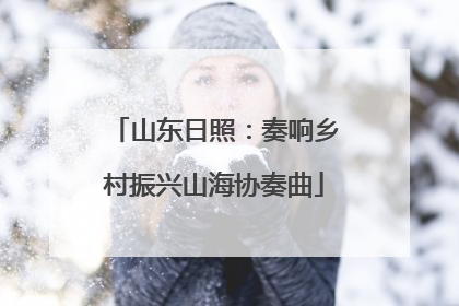 山东日照：奏响乡村振兴山海协奏曲