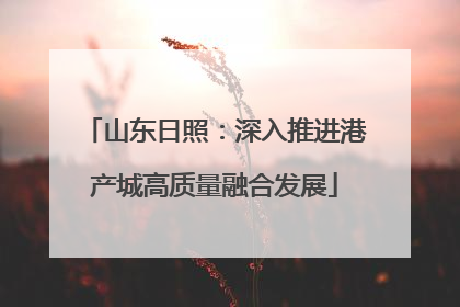 山东日照：深入推进港产城高质量融合发展