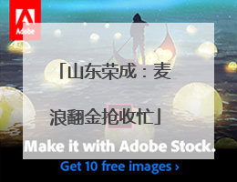 山东荣成：麦浪翻金抢收忙
