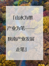 山水为墨 产业为笔——陕南产业发展走笔