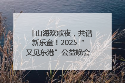 山海欢歌夜，共谱新乐章！2025“又见东港”公益晚会奏响文旅强音