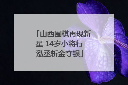 山西围棋再现新星 14岁小将行泓丞斩金夺银
