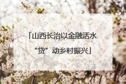 山西长治以金融活水“贷”动乡村振兴