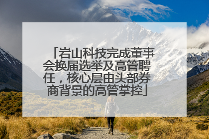 岩山科技完成董事会换届选举及高管聘任，核心层由头部券商背景的高管掌控