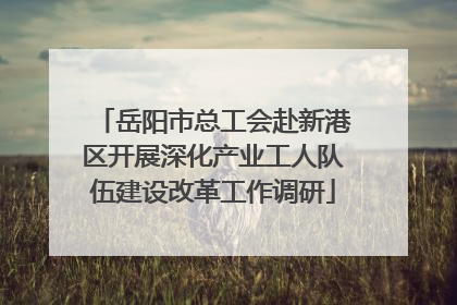 岳阳市总工会赴新港区开展深化产业工人队伍建设改革工作调研