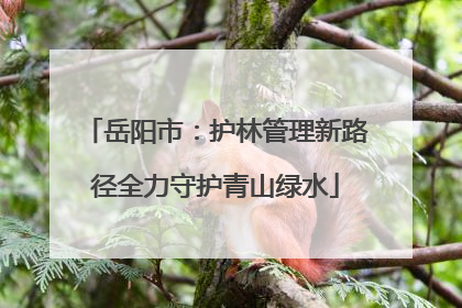 岳阳市：护林管理新路径全力守护青山绿水