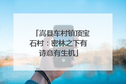 嵩县车村镇顶宝石村：密林之下有诗意有生机