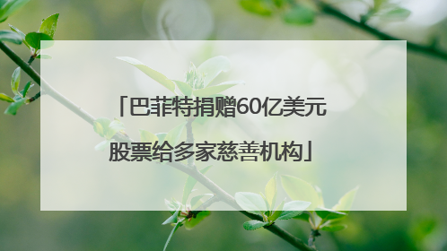 巴菲特捐赠60亿美元股票给多家慈善机构