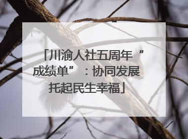 川渝人社五周年“成绩单”：协同发展托起民生幸福