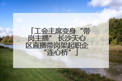 工会主席变身“带岗主播” 长沙天心区直播带岗架起职企“连心桥”