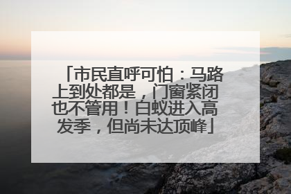 市民直呼可怕：马路上到处都是，门窗紧闭也不管用！白蚁进入高发季，但尚未达顶峰