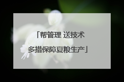 帮管理 送技术 多措保障夏粮生产