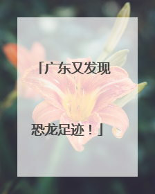 广东又发现恐龙足迹！