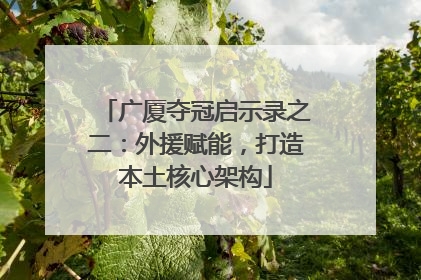 广厦夺冠启示录之二：外援赋能，打造本土核心架构