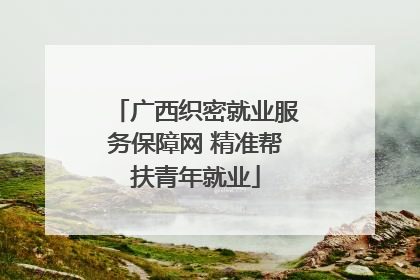 广西织密就业服务保障网 精准帮扶青年就业