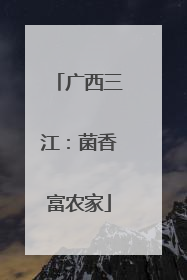 广西三江：菌香富农家