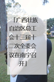 广西壮族自治区总工会十三届十二次全委会议在南宁召开