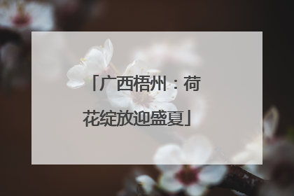 广西梧州：荷花绽放迎盛夏