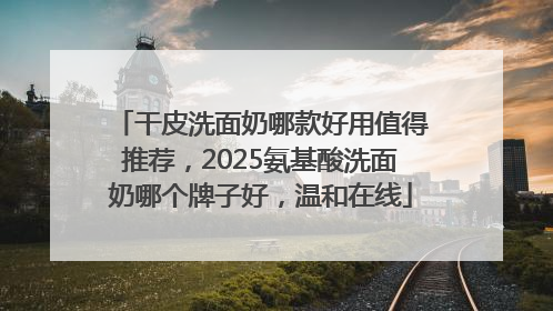 干皮洗面奶哪款好用值得推荐，2025氨基酸洗面奶哪个牌子好，温和在线