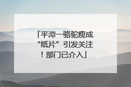 平潭一骆驼瘦成“纸片”引发关注！部门已介入