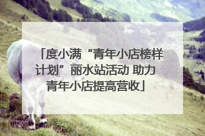 度小满“青年小店榜样计划”丽水站活动 助力青年小店提高营收