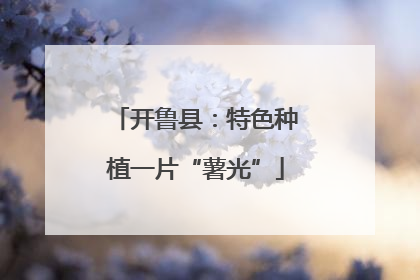 开鲁县：特色种植一片“薯光”