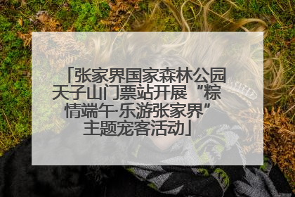 张家界国家森林公园天子山门票站开展“粽情端午·乐游张家界”主题宠客活动
