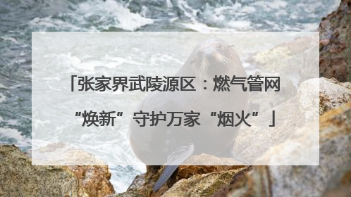 张家界武陵源区：燃气管网“焕新”守护万家“烟火”