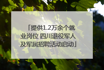 提供1.2万余个就业岗位 四川退役军人及军属招聘活动启动