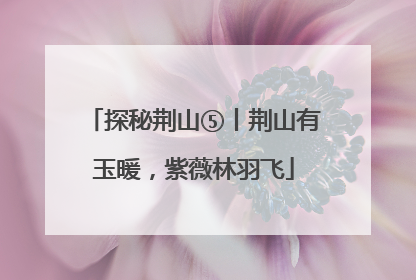 探秘荆山⑤丨荆山有玉暖，紫薇林羽飞