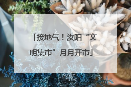 接地气！汝阳“文明集市”月月开市