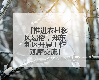 推进农村移风易俗，郑东新区开展工作观摩交流