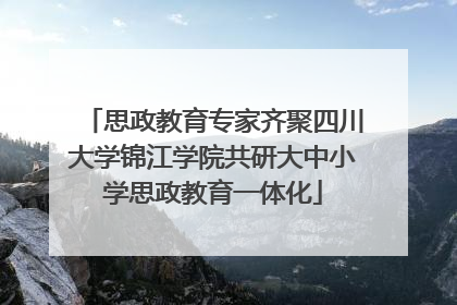 思政教育专家齐聚四川大学锦江学院共研大中小学思政教育一体化