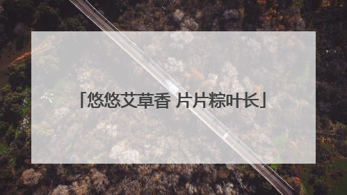 悠悠艾草香 片片粽叶长