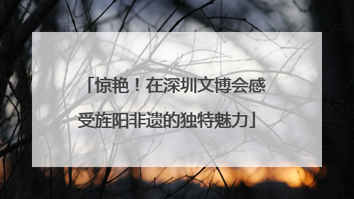 惊艳！在深圳文博会感受旌阳非遗的独特魅力