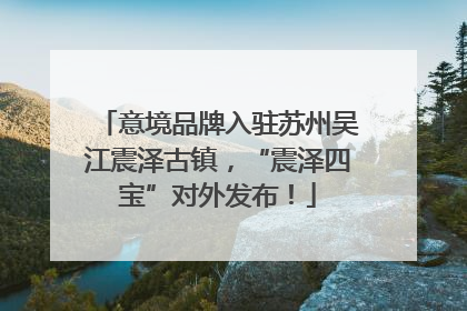 意境品牌入驻苏州吴江震泽古镇，“震泽四宝”对外发布！