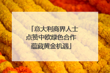 意大利商界人士点赞中欧绿色合作蕴藏黄金机遇