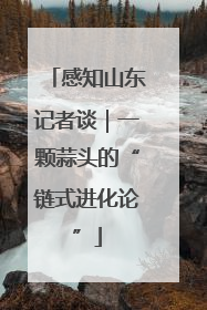 感知山东记者谈｜一颗蒜头的“链式进化论”