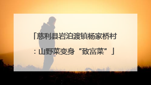 慈利县岩泊渡镇杨家桥村：山野菜变身“致富菜”