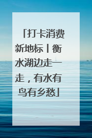 打卡消费新地标丨衡水湖边走一走，有水有鸟有乡愁