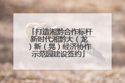 打造湘黔合作标杆 新时代湘黔大（龙）新（晃）经济协作示范园建设签约