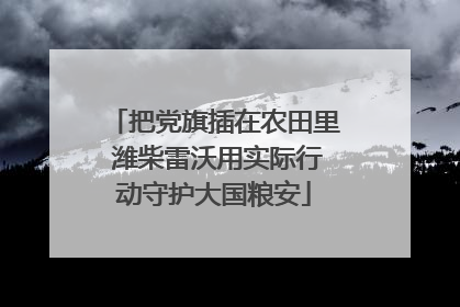 把党旗插在农田里 潍柴雷沃用实际行动守护大国粮安