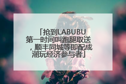 抢到LABUBU第一时间叫跑腿取送，顺丰同城等即配成潮玩经济参与者