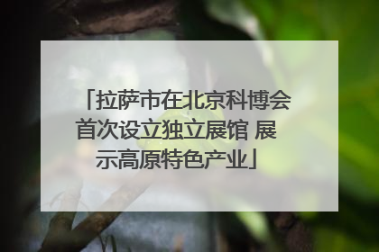 拉萨市在北京科博会首次设立独立展馆 展示高原特色产业